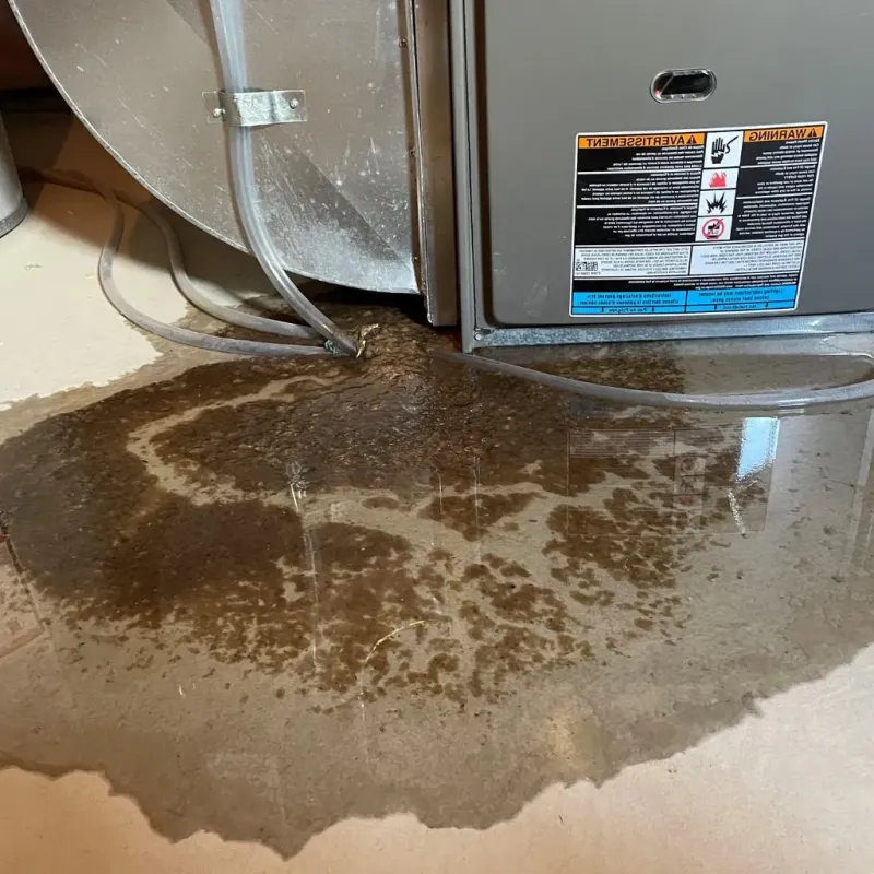 Pipe Burst and Leak Restoration in Summit County, OH