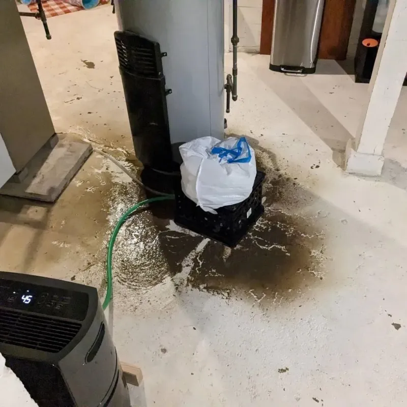 Sewage Backup Cleanup Service in Summit County, OH